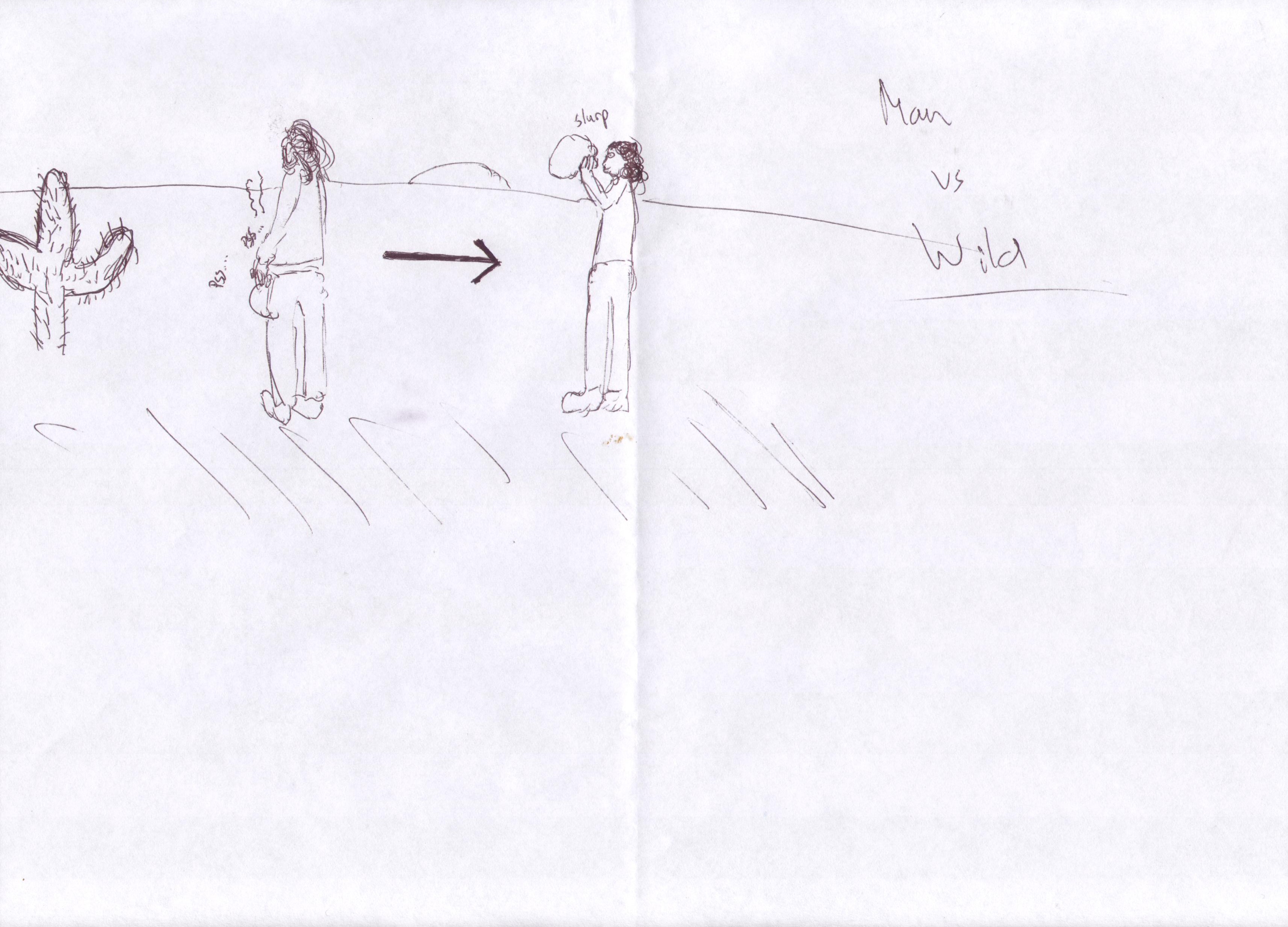 pim-vs-img026