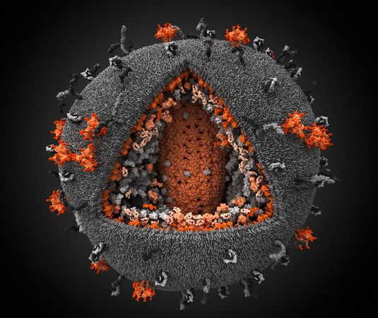 science-hiv3d